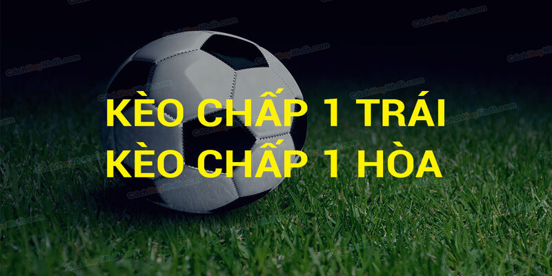 Những mẹo cá cược hấp dẫn dành cho cược thủ