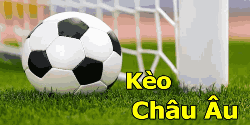 Kinh nghiệm đọc kèo châu âu cùng sảnh game Ysb66