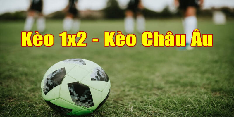 Tìm hiểu trước các thông tin trong trận cược