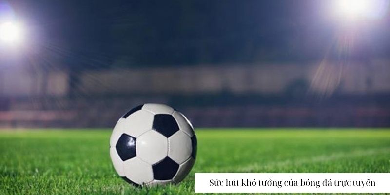 Bí mật đằng sau sức hút của trực tuyến bóng đá