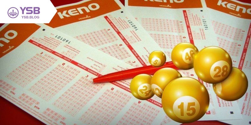 Hướng dẫn cách chơi cực dễ hiểu cho người mới