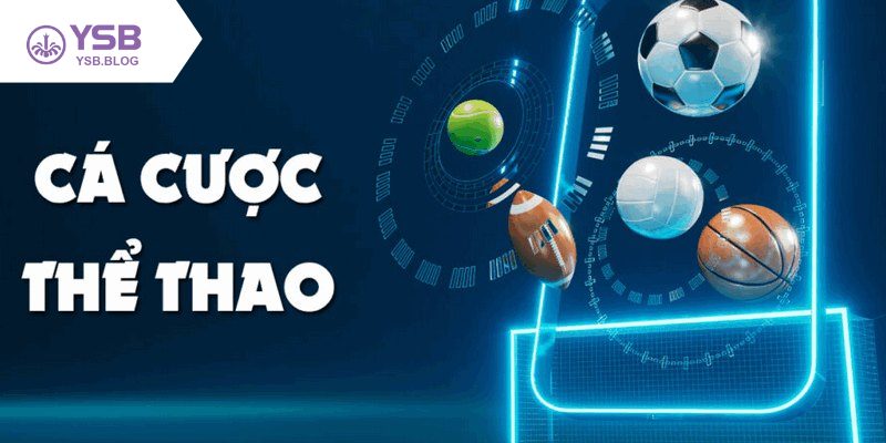 Nhà cái cá cược thể thao được hiểu ra sao?