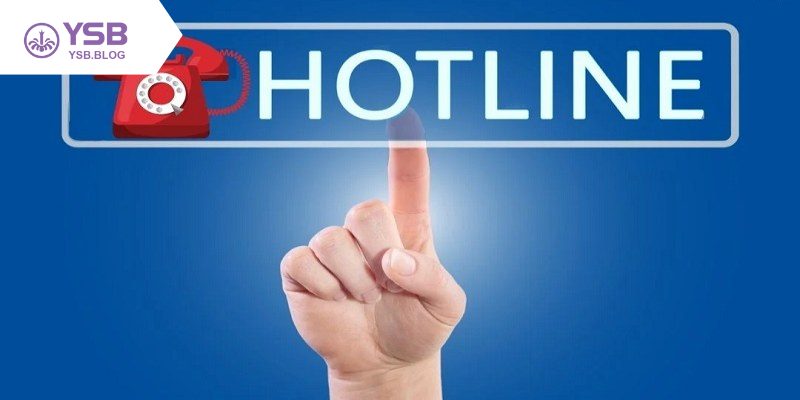 Sử dụng hotline là phương án tối ưu