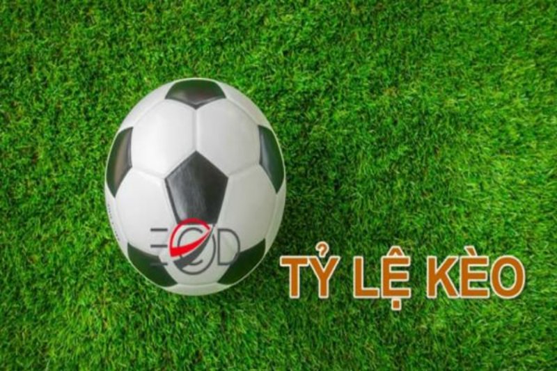 Cách xem tỉ lệ của kèo tài xỉu