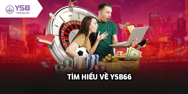 Tìm hiểu về YSB66