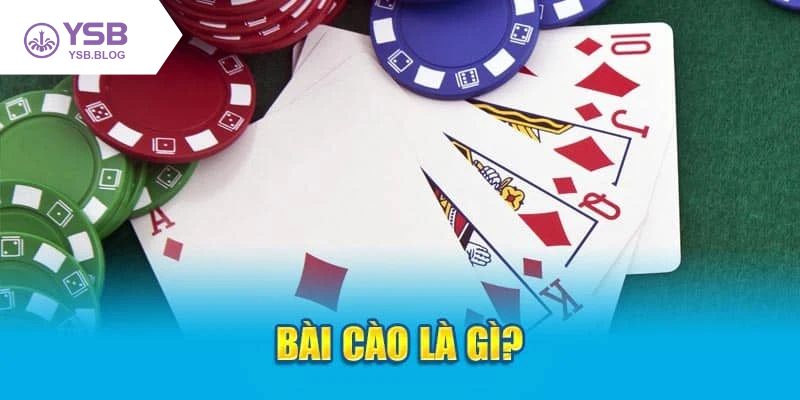 Tổng quan về bài cào