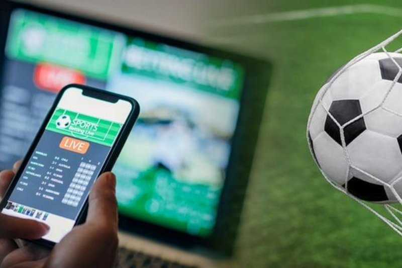 Web cá độ bóng đá là gì?