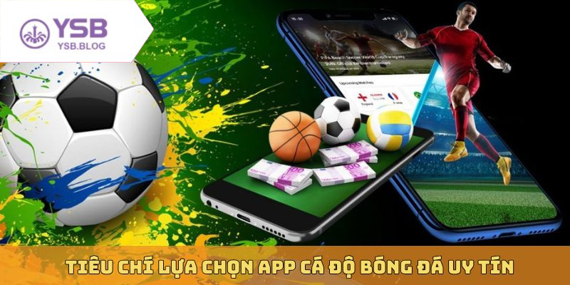 App cá cược bóng đá uy tín với giao diện mượt mà dễ sử dụng