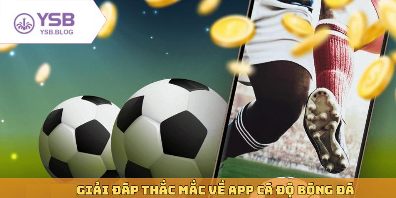 App cá cược bóng đá tiện lợi giúp bạn đặt cược mọi lúc mọi nơi