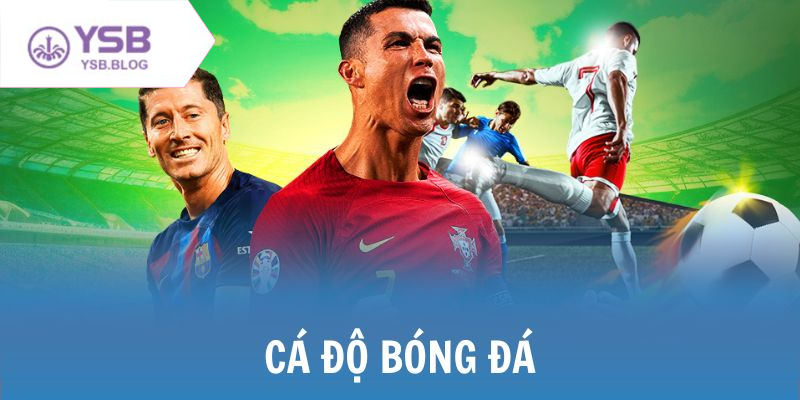 Cách cá độ bóng đá an toàn từ kinh nghiệm của các cao thủ lâu năm