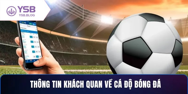 Tìm hiểu cách cá độ bóng đá thông minh và tránh rủi ro thua lỗ