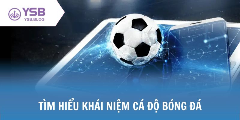 Hướng dẫn cách cá độ bóng đá dễ hiểu cho người mới tham gia