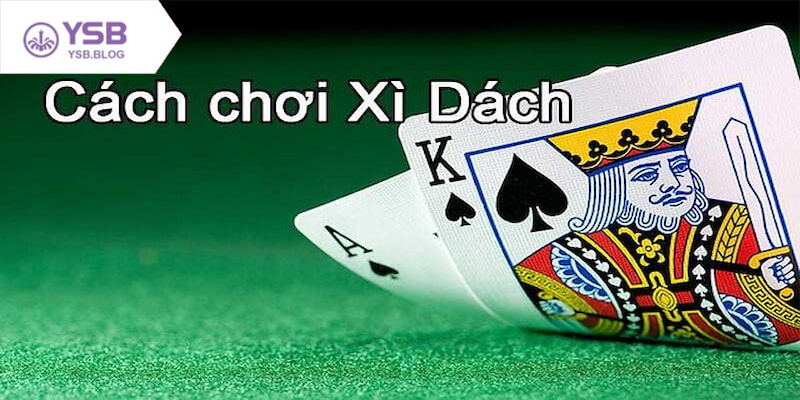 Chơi Xì Dách online dễ hiểu và phù hợp với người mới bắt đầu
