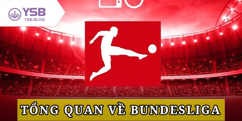 Soi kèo bóng đá Đức chuẩn xác cùng chuyên gia có kinh nghiệm