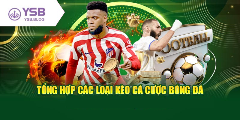 Kèo cá cược bóng đá luôn được cập nhật nhanh và chính xác