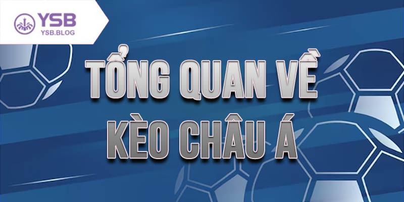 Soi kèo châu Á mỗi ngày để tăng tỷ lệ thắng khi cá độ bóng đá