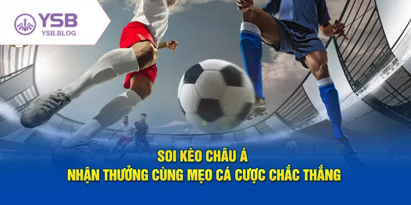 Cách đọc kèo châu Á chính xác giúp người chơi đặt cược hiệu quả