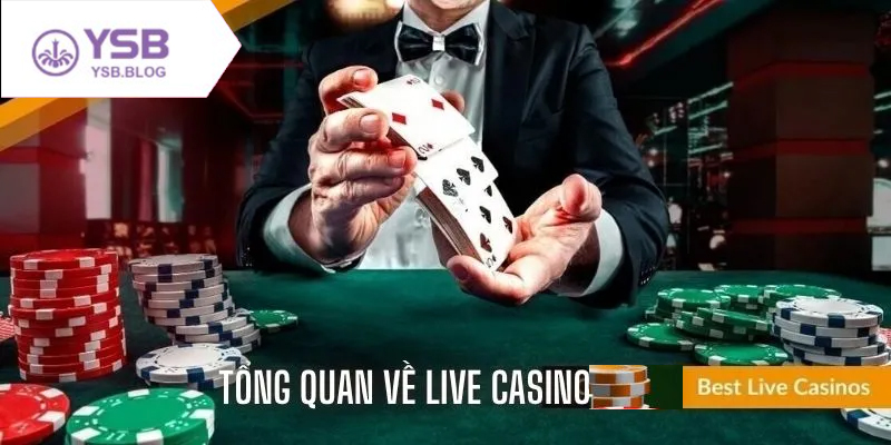 Hướng dẫn chơi live casino online đơn giản cho người mới bắt đầu