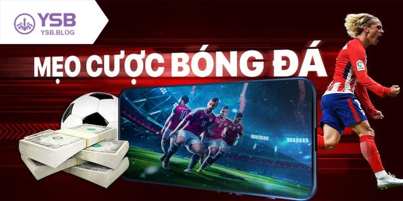 Tìm hiểu cách soi kèo cá cược bóng đá cho người mới bắt đầu