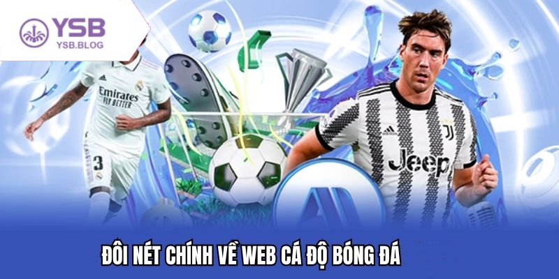 Lựa chọn trang bóng đá uy tín để nâng cao trải nghiệm cá cược