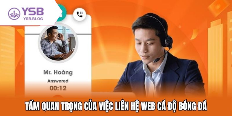 Trang bóng đá uy tín cập nhật kết quả và soi kèo mỗi ngày