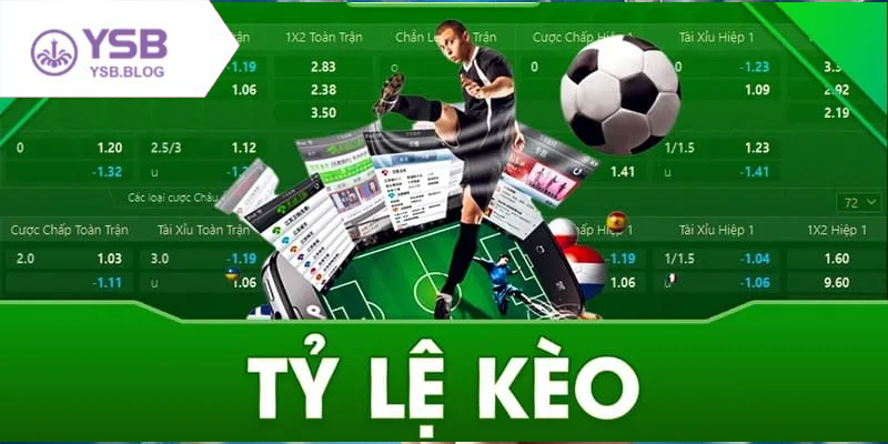 Tìm hiểu cách đọc tỷ lệ kèo để đặt cược hiệu quả hơn