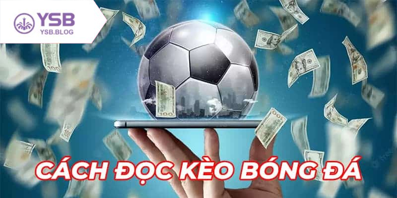 Tỷ lệ kèo bóng đá luôn được cập nhật nhanh chóng và chính xác