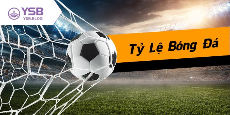 Tìm hiểu cách đọc tỷ lệ kèo nhà cái để cá cược hiệu quả hơn