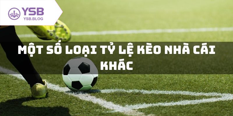 Tỷ lệ kèo nhà cái luôn cập nhật nhanh chóng và chính xác mỗi ngày