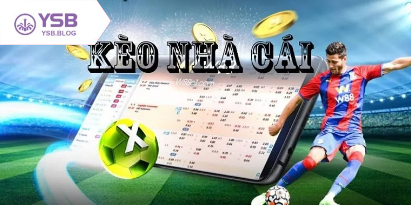 Phân tích tỷ lệ kèo tv trước giờ bóng lăn cùng chuyên gia uy tín