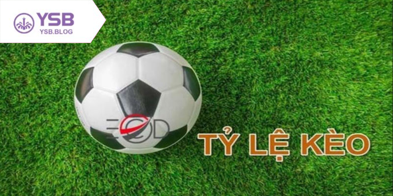 Tỷ lệ kèo tv rõ ràng minh bạch hỗ trợ người chơi mọi trận đấu