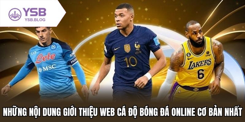 Lựa chọn web cá độ bóng đá đáng tin cậy cho người chơi mới