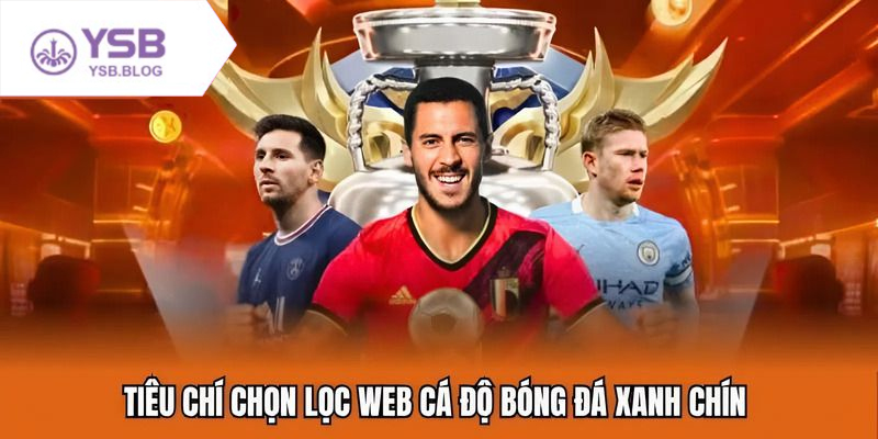 Web cá độ bóng đá hỗ trợ người chơi đặt cược mọi lúc mọi nơi