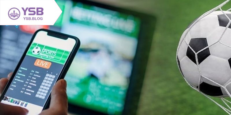 Web cá độ bóng đá uy tín mang đến trải nghiệm cược an toàn